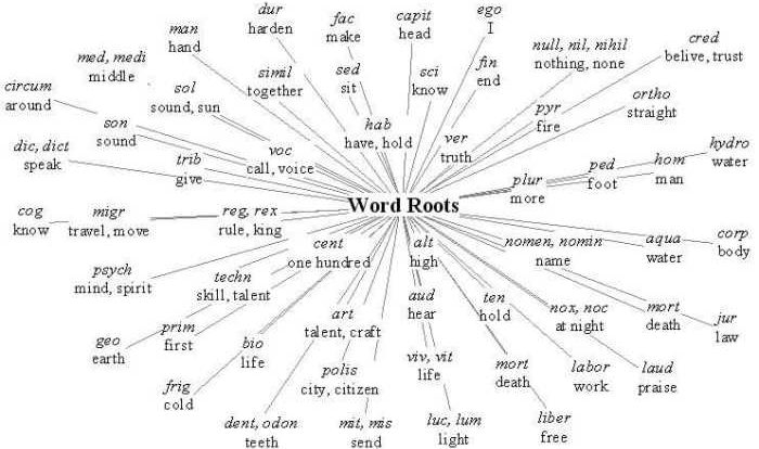 Words with the root word voc