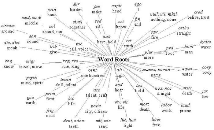 Words with the root word voc