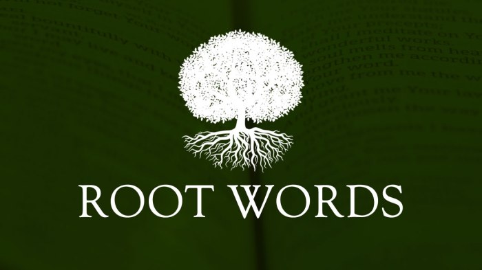 Words with the root word voc