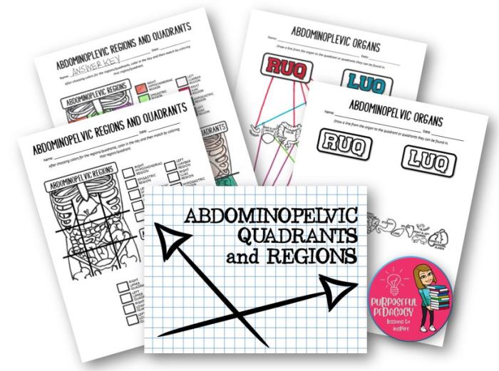 Printable body regions labeling worksheet